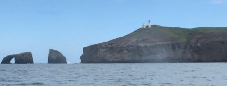 Channel Islands: Anacapa Island Whale Watching