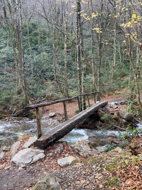 log bridge
