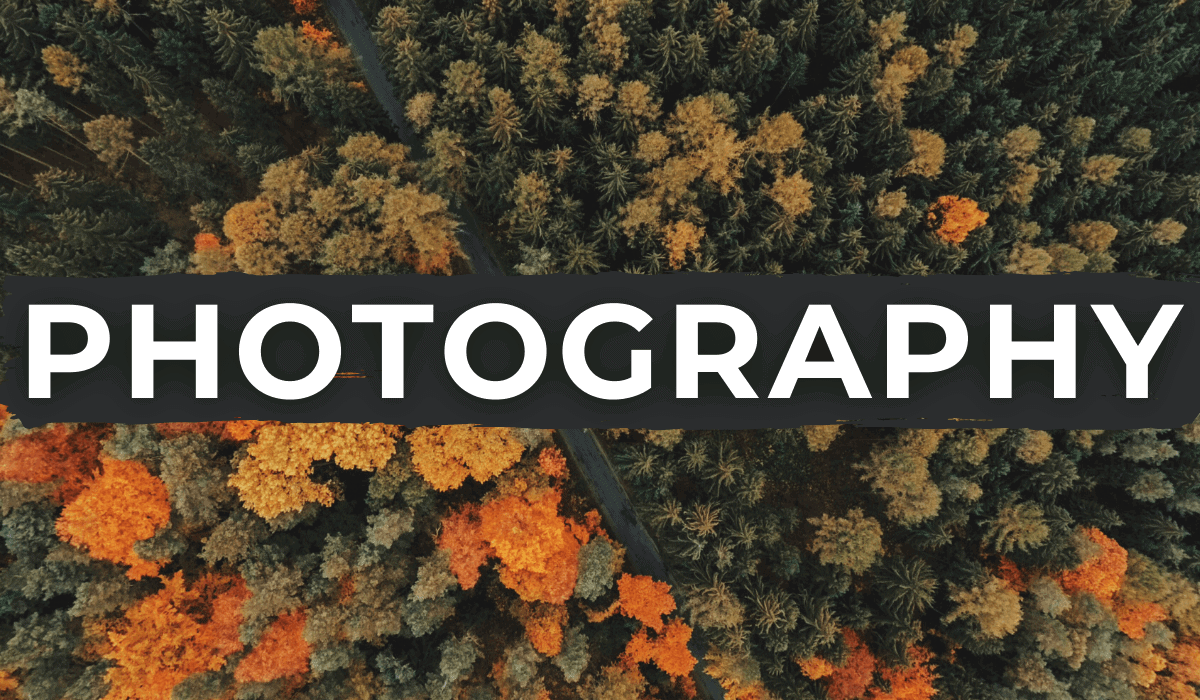 green yellow and orange fall trees with the word "PHOTOGRAPHY" written in white across the photo
