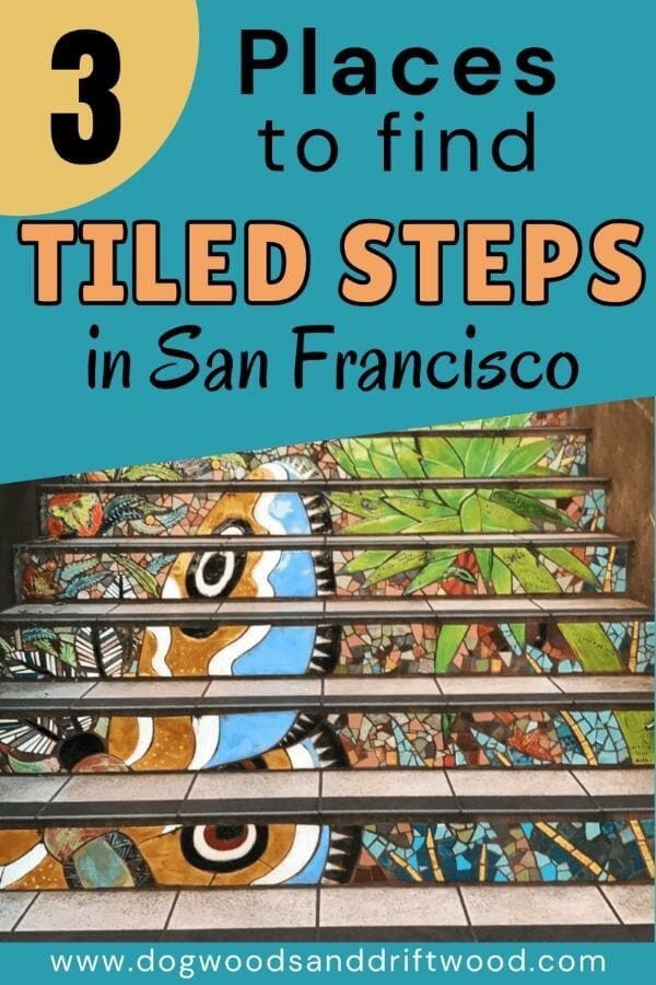 places to see tiled steps