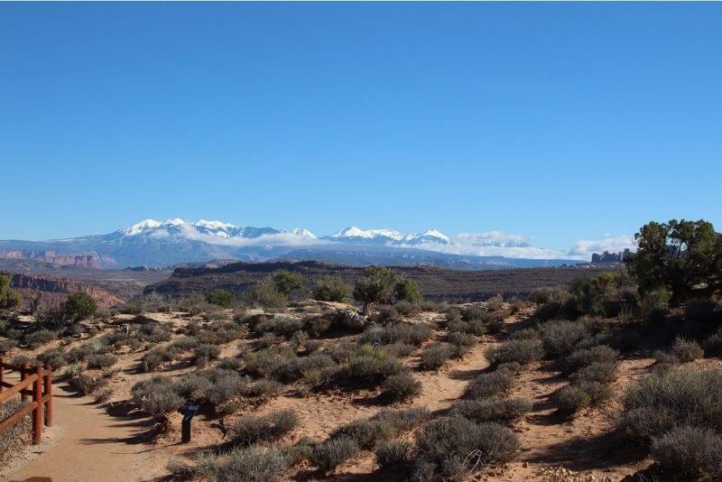 snow capped mountains with desert plants in front